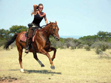 South Africa-Waterberg-Waterberg Safari Lodge